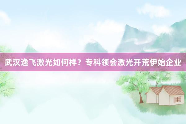 武汉逸飞激光如何样?专科领会激光开荒伊始企业